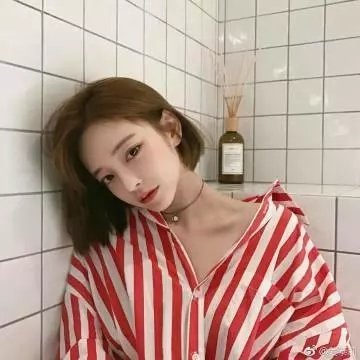 芙蓉仙子